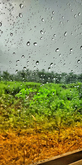 Rain season HD wallpapers | Pxfuel