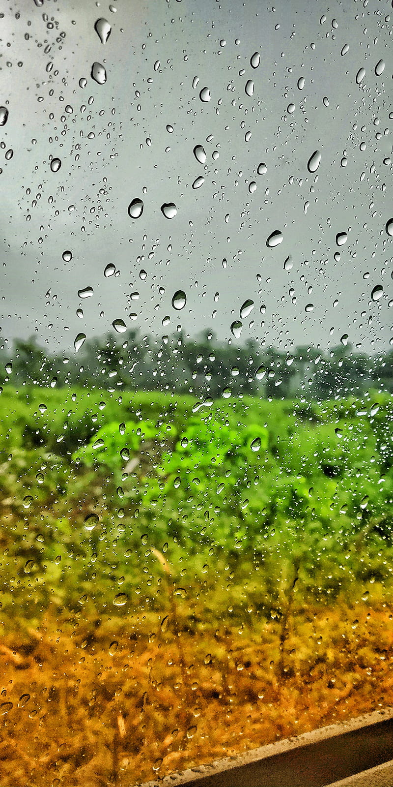 Rain, drops, rainy, water, galaxy, season, HD phone wallpaper | Peakpx