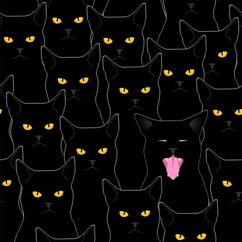 Black CAts, cat, black cat, HD phone wallpaper