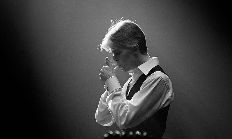 David Bowie, artist, English, singer, British, songwriter, English singer, musician, person, actor, HD wallpaper