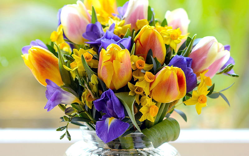 tulip bouquet, yellow tulips, spring flowers, spring bouquet, daffodils, iris, tulips, beautiful flowers, HD wallpaper