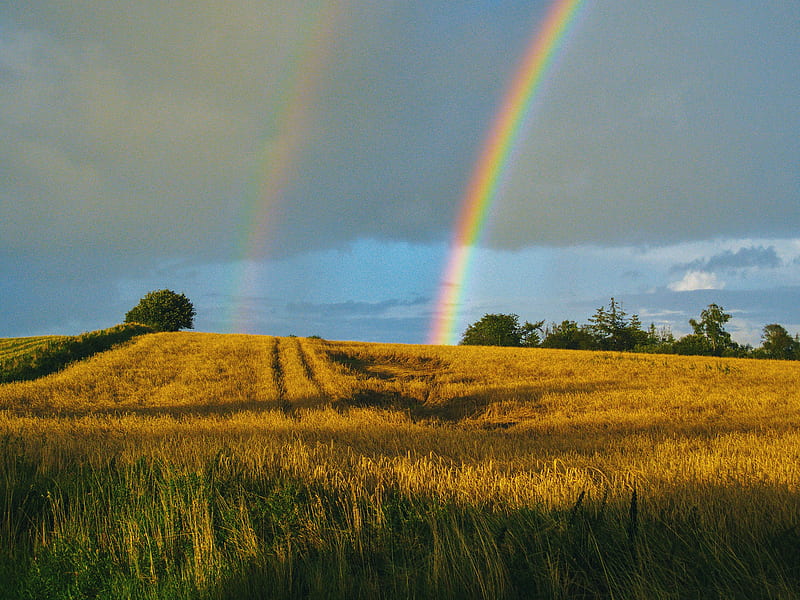 field, rainbow, landscape, sky, after rain, HD wallpaper