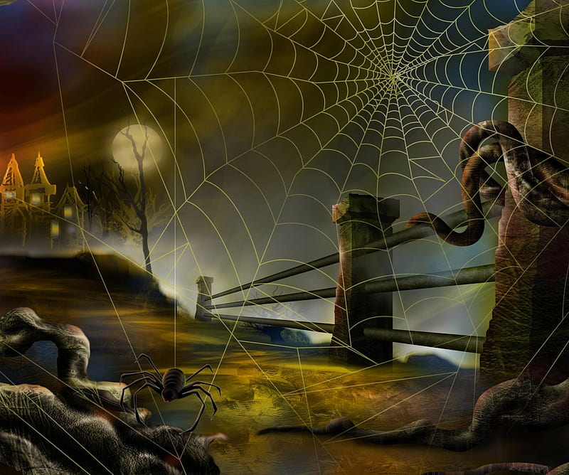 Halloween Background, creepy, dark, net, spider, HD wallpaper