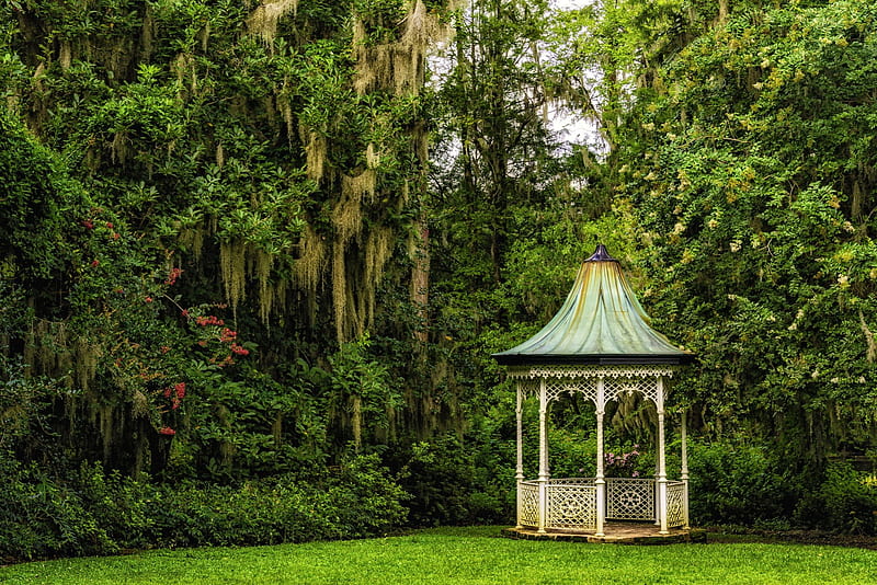 Magnolia Gardens at Charleston, lawn, gazebo, trees, usa, HD wallpaper