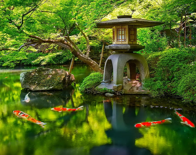 Japan garden green, fish, garden, lake, HD wallpaper