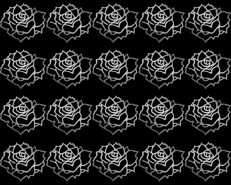 silver roses, gizzzi, rose, labrano, roses, silver, HD wallpaper