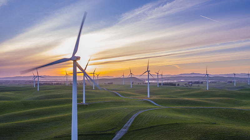 white wind mill lot on green field, HD wallpaper