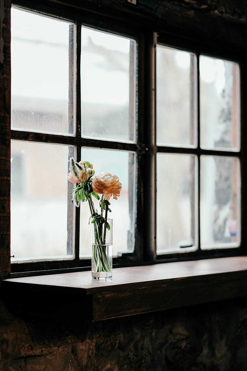 flowers, vase, window, bouquet, HD phone wallpaper