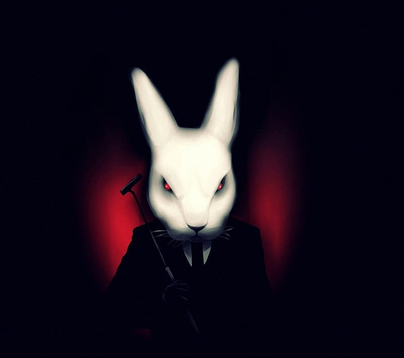 Hitman Rabbit, bunny, hit, hitman, killer, man, rabbit, HD wallpaper