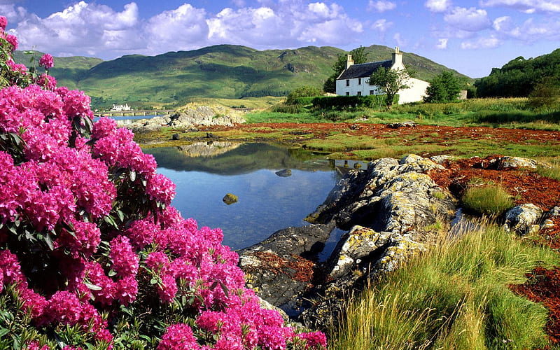 Gorgeous Travel destination, rocks, house, cottage, travel, clouds, lake, mountain, flowers, nature, HD wallpaper