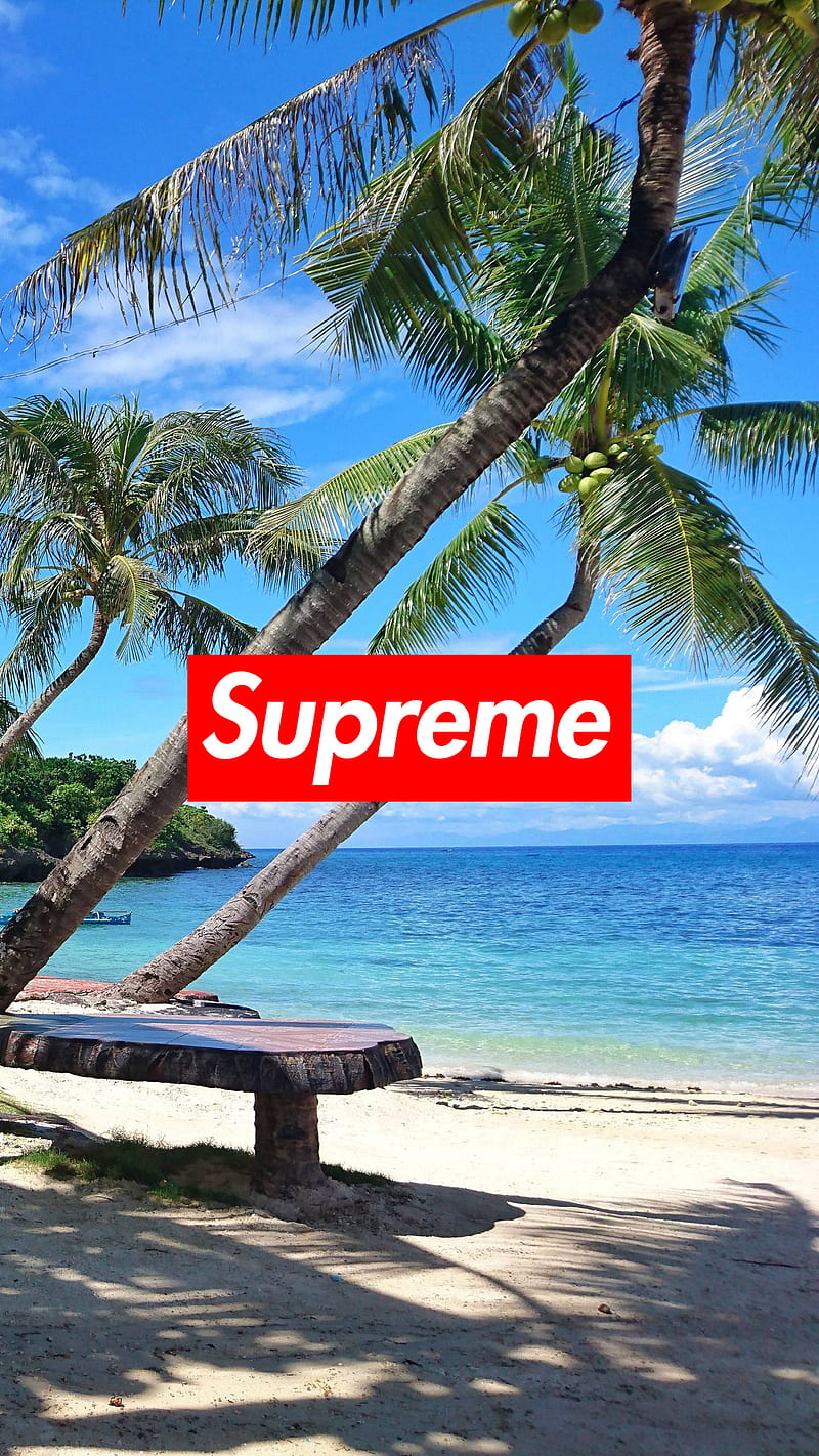 Supreme logo, supreme, nature, landscape HD wallpaper