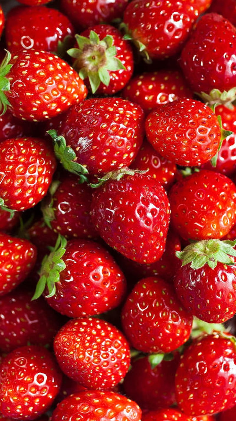 Strawberries, fruit, strawberry, HD phone wallpaper