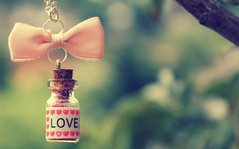 Love bottle, glass, green, bottle, love, bow, valentine, pink, HD wallpaper