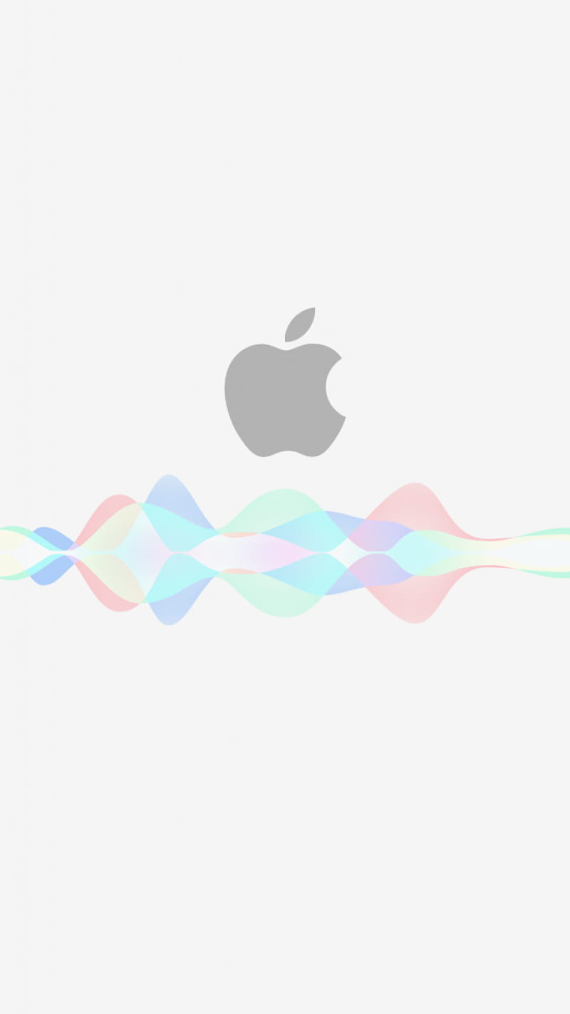 Apple Siri, 2019, latest, logo, new, top, HD phone wallpaper