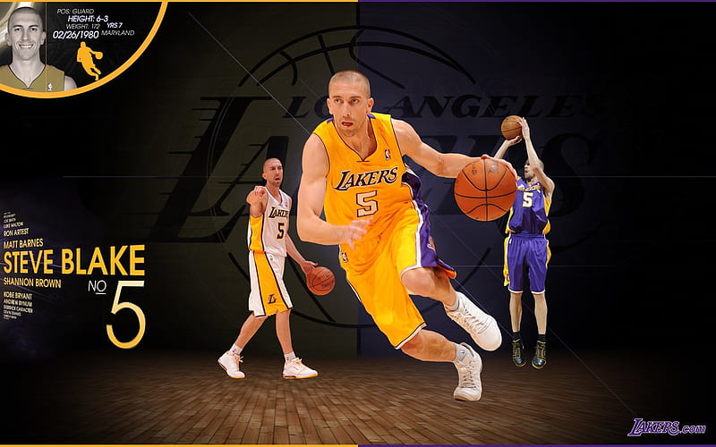 2010-11 season NBA Los Angeles Lakers steve blake, HD wallpaper