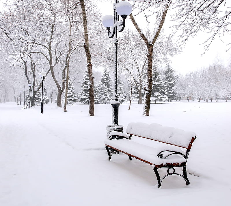Winter Park, bench, snow, white, HD wallpaper | Peakpx
