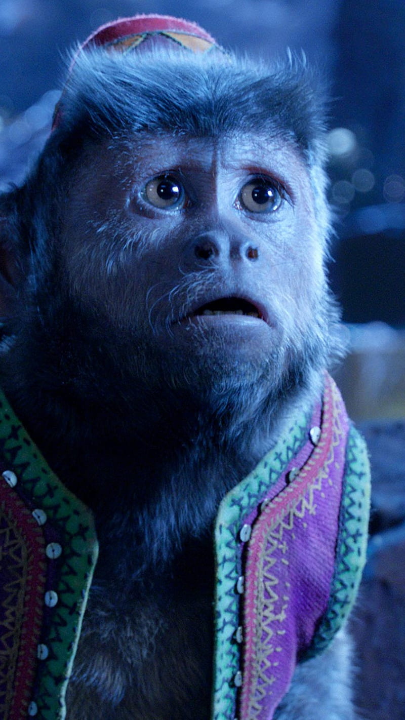 Abu the Monkey , surprised, animal, aladdin, fantasy, movie, hollywood, HD phone wallpaper