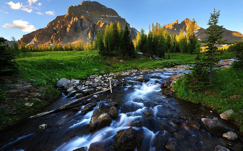 Beautiful River Stream, rocks, creeks, nature, streams, rivers, HD wallpaper
