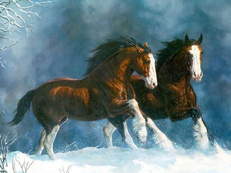 Snow run, snow, brown and white, gallop, horses, winter, HD wallpaper
