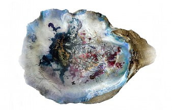 Magic Shell, colors, Shell, shells, Magic, HD wallpaper