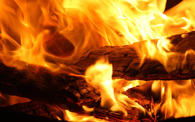 Campfire 2011, fire, graphy, camp, bonito, abstract, HD wallpaper | Peakpx
