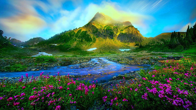 Spring Melting of Snow, stream, grass, spring, sky, stones, green, snow, purple, mountains, flowers, nature, melting, HD wallpaper