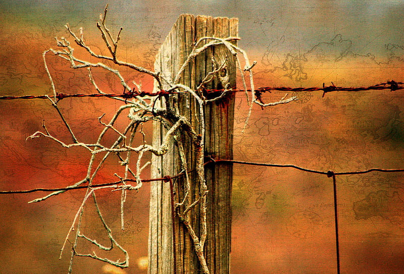 Mapped in time, fence, post, mapped, old, map, HD wallpaper