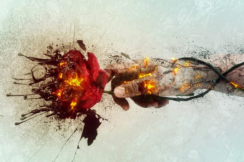 Incandescence, red, fire, rose, hand, HD wallpaper