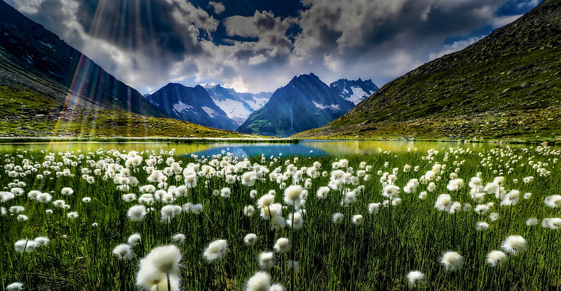 Earth, Sunbeam, Bernese Alps, Cloud, Lake, Meadow, Mountain, Plant, Switzerland, HD wallpaper