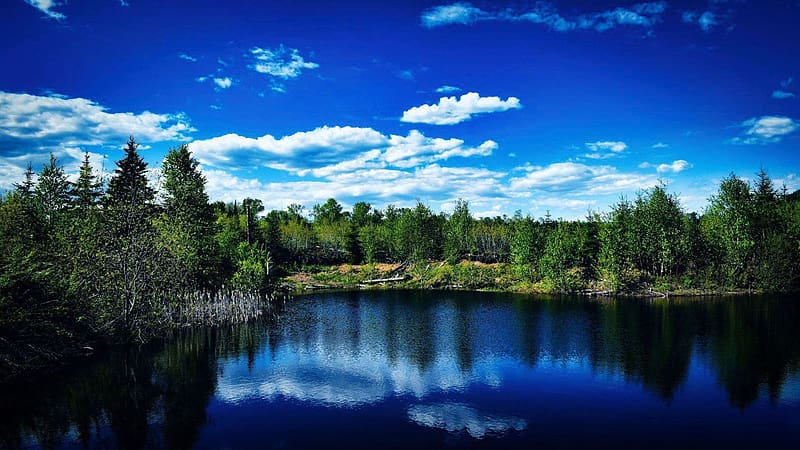 Vibrant Blue Skies in Northern Canada, trees, water, reflections, lake, forest, HD wallpaper