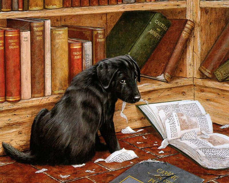 Only reading..., black, newspaper, labrador, puppy, HD wallpaper