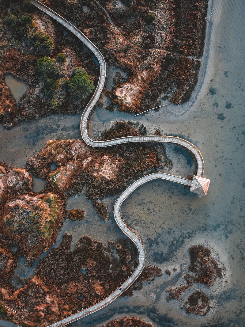 aerial view of road in the middle of the forest, HD phone wallpaper