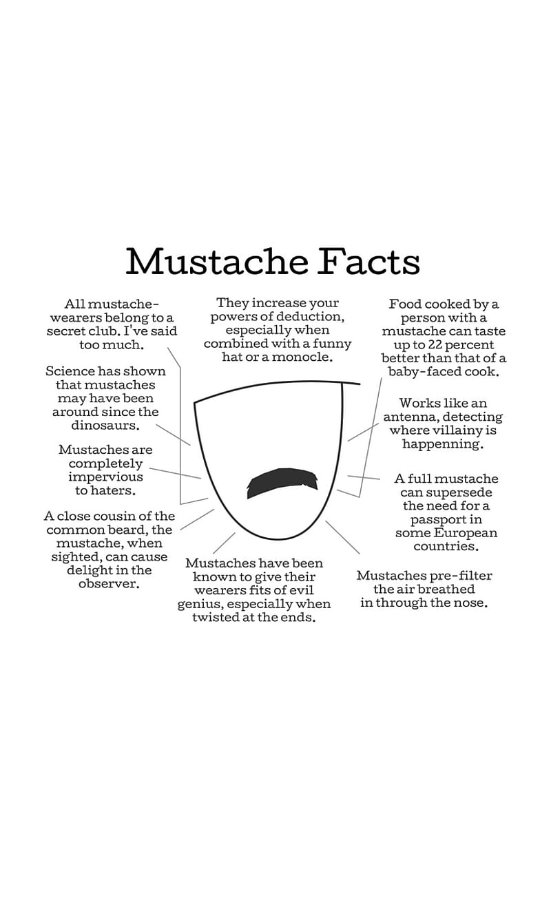 Mustache Facts, funny, men, HD phone wallpaper