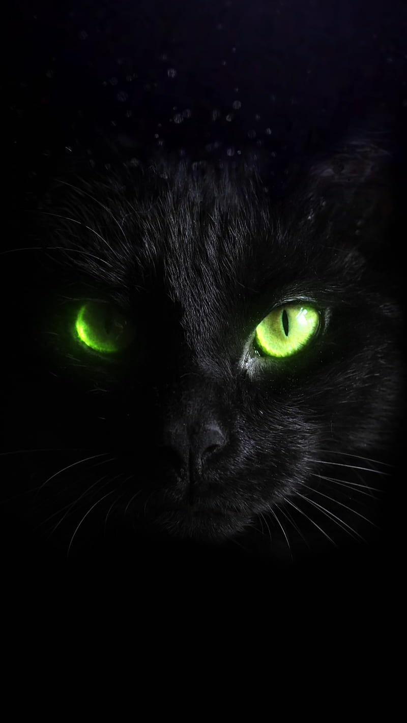 80+ Glowing Eyes HD Wallpapers and Backgrounds