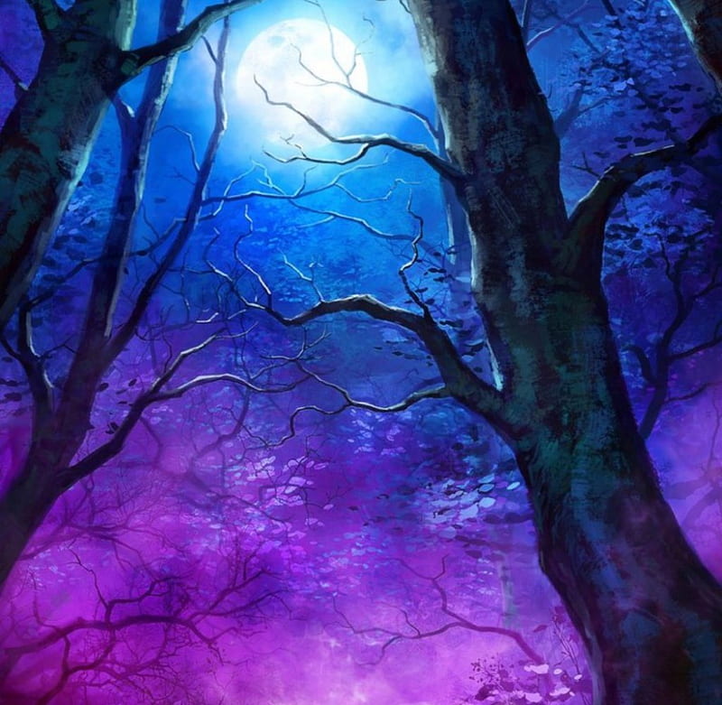 Moonlight Magic, forest, art, purple, glowing, moonlight, trees, night, HD wallpaper