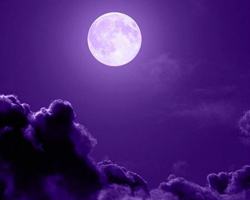 Full Moon, nature, moon, sky, purple, HD wallpaper | Peakpx