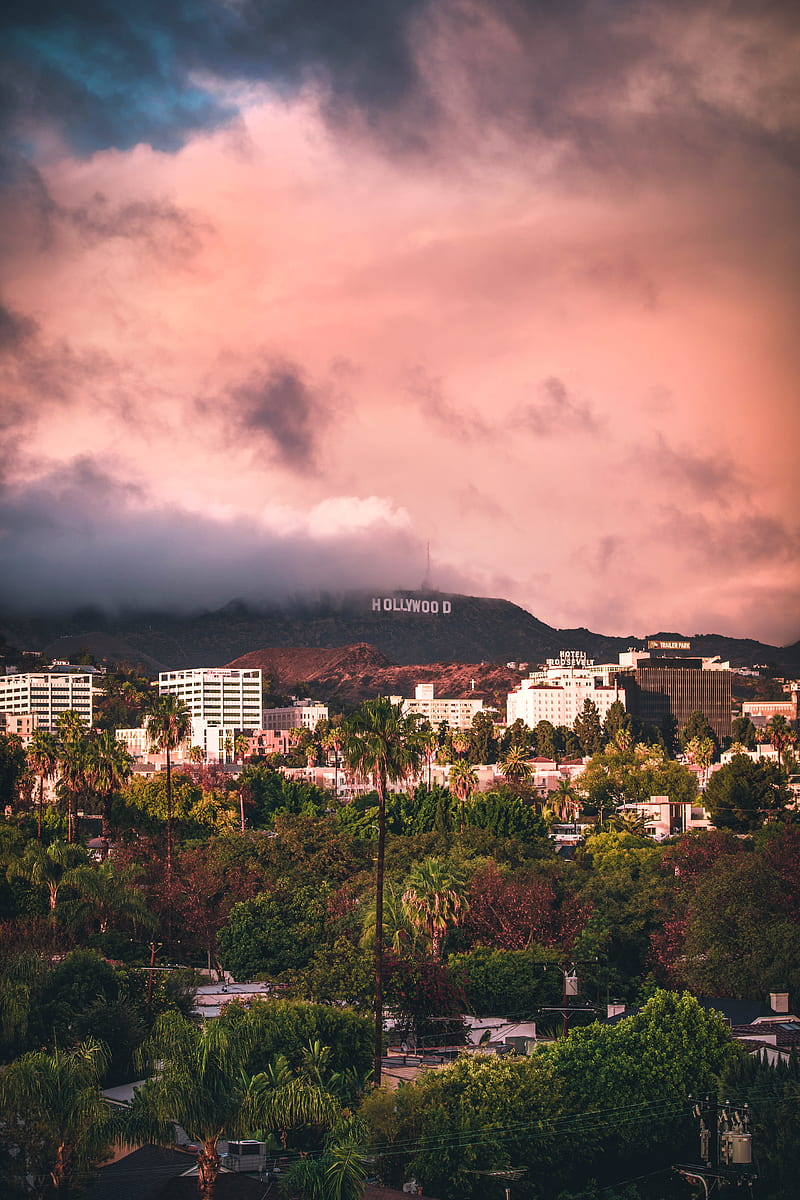 Hollywood sign from Los Angeles, HD phone wallpaper