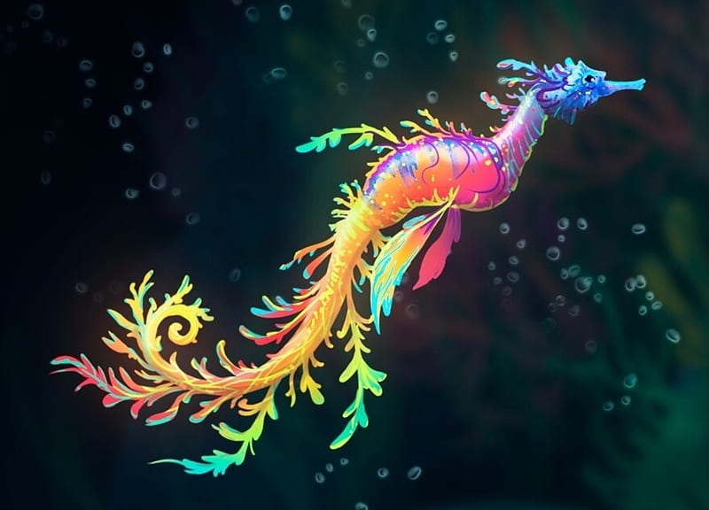 Seahorse, summer, liliia sokolovam, blue, colorful, luminos, orange, rainbow, vara, fantasy, pink, creature, HD wallpaper