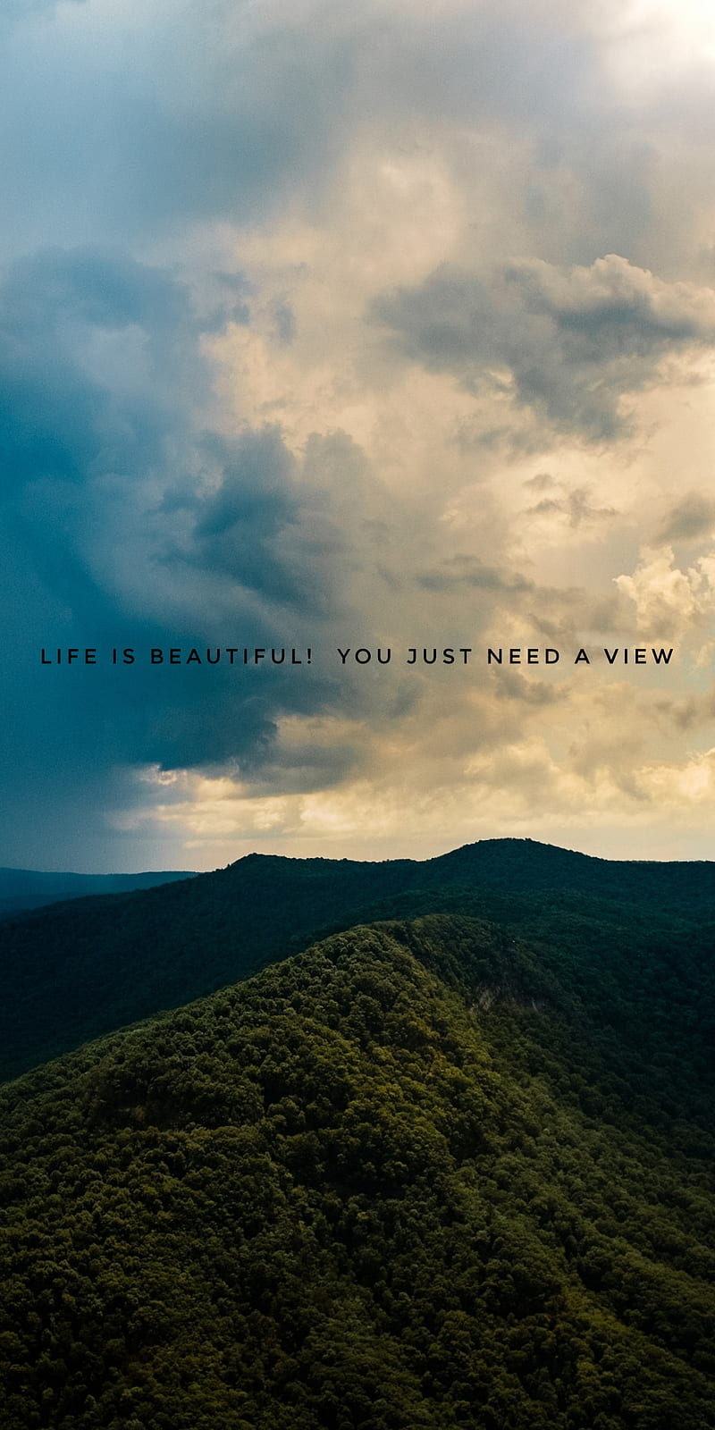 1000 Life Is Beautiful Pictures  Download Free Images on Unsplash