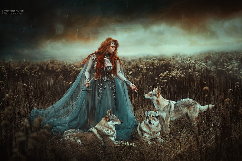 White wolf and woman crescent stars Fantasy HD wallpaper  Peakpx