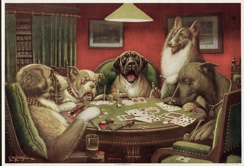 56 Dogs Playing Poker Stock Photos HighRes Pictures and Images  Getty  Images