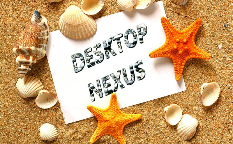 NEXUS, beach, Sea, scallop, sky, HD wallpaper
