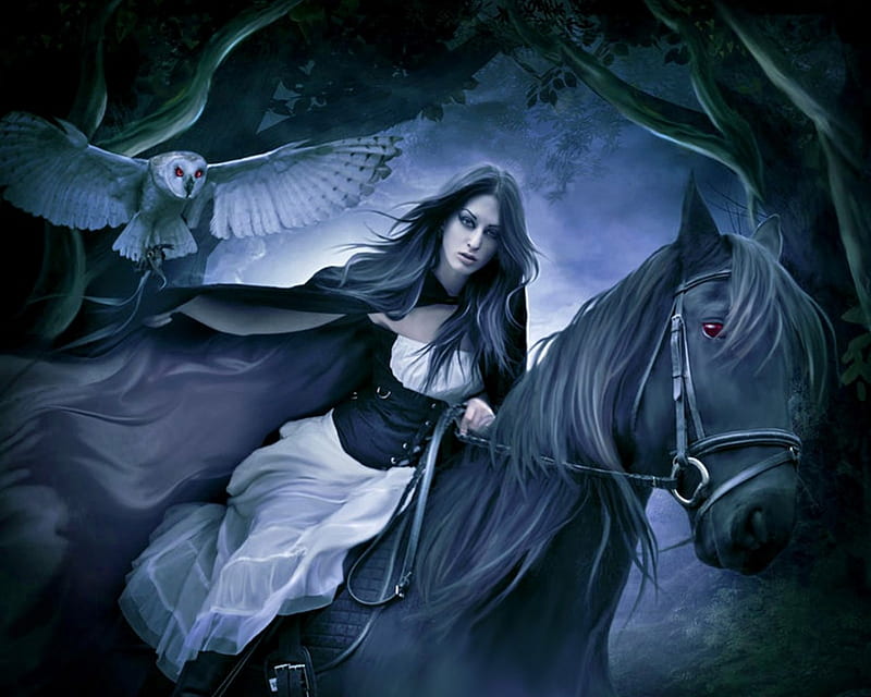 Flee into the Night, forest, owl, fantasy, gothic, dark, magic, horse ...