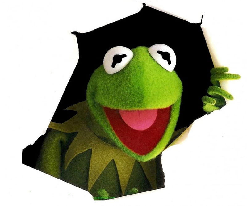 Charismatic Kermit, frog, colorful, Kermit, green, Muppet, puppet, bright, HD wallpaper