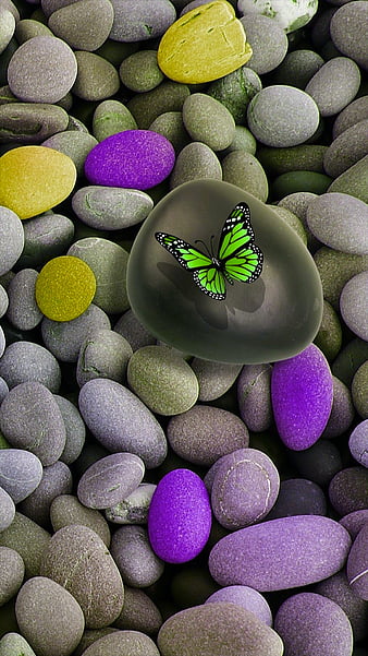 green butterfly, stones, zen, butterflies, yellow, purple, nature, HD mobile wallpaper