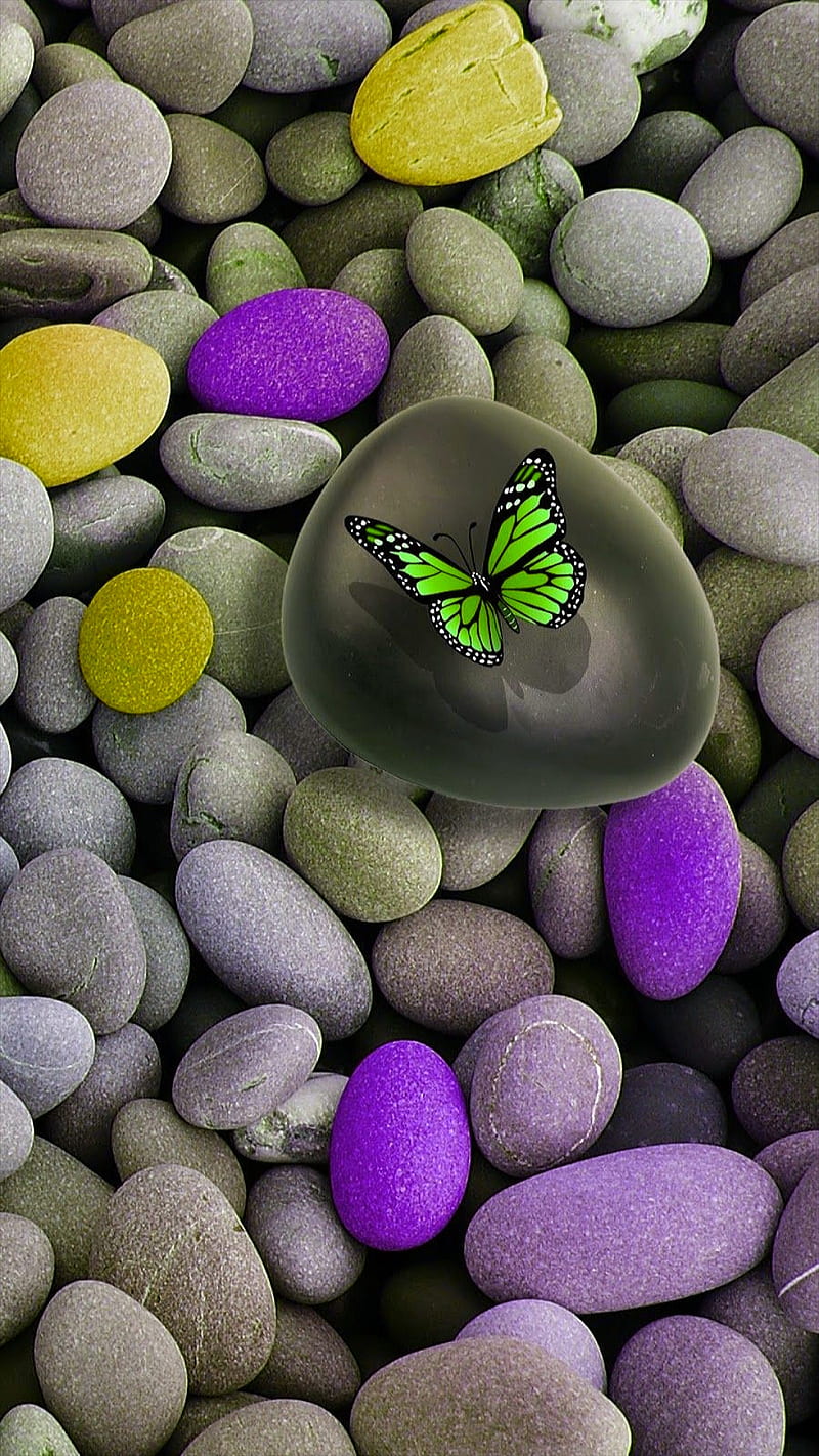 green butterfly, stones, zen, butterflies, yellow, purple, nature, HD phone wallpaper