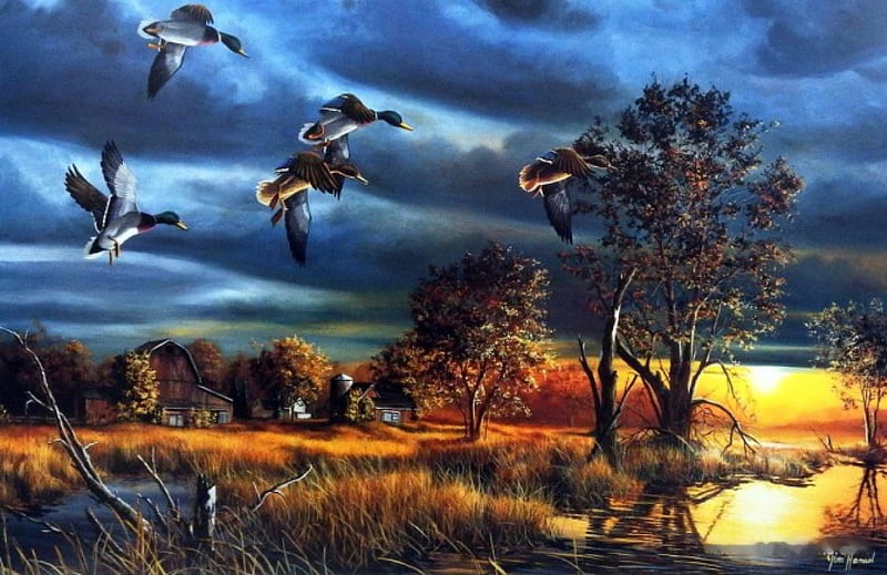 Morning Mallards, fall, autumn, colors, sunset, trees, clouds, artwork, barn, painting, river, HD wallpaper