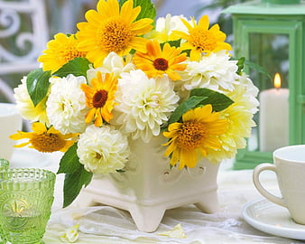 voltaje Consciente cinta Hermoso arreglo floral, taza, flores, floración, velas, Fondo de pantalla  HD | Peakpx