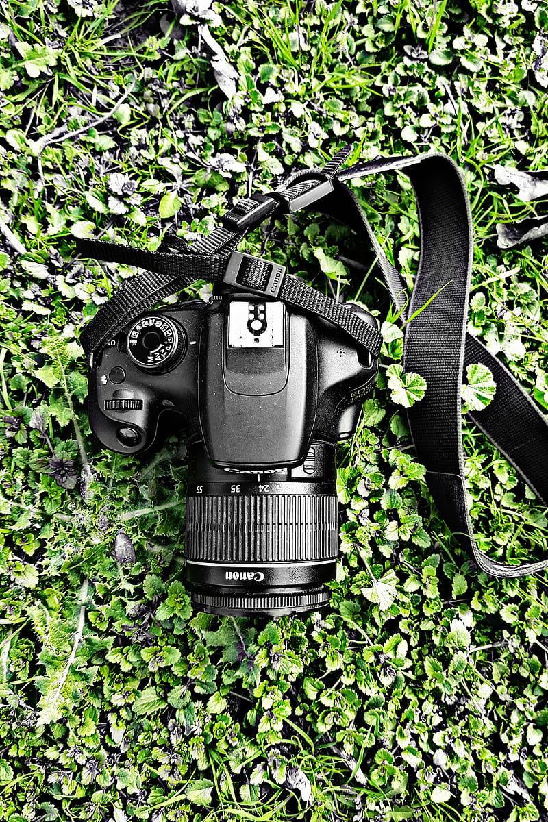 Camera canon, grass, green lens, nature, HD phone wallpaper | Peakpx