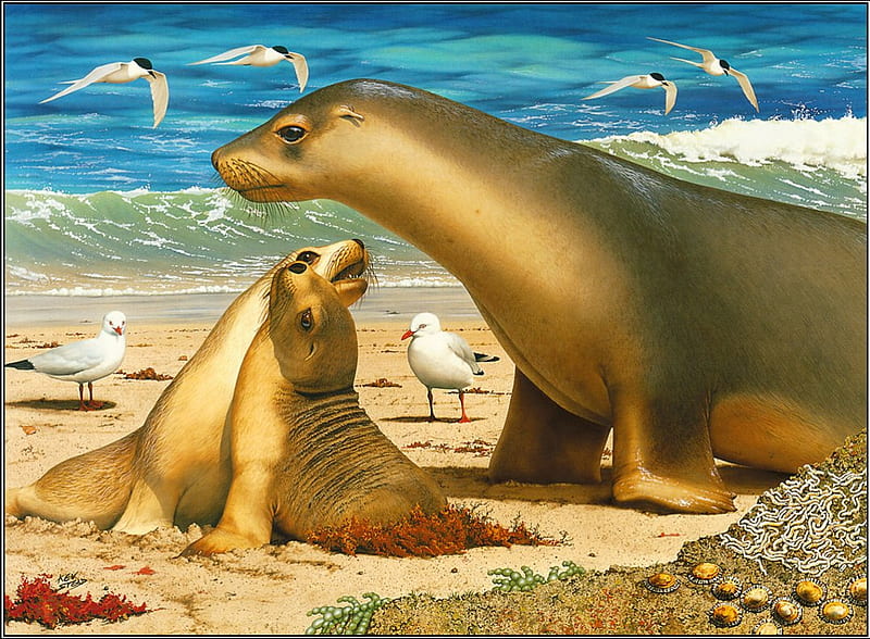 Golden Sea Lions, beach, seagulls, sea, artwork, HD wallpaper